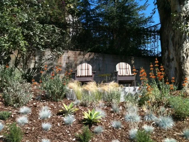 Reliable outdoor landscaping experts serving Los Angeles, CA - Leonardo Chalupowicz Studio