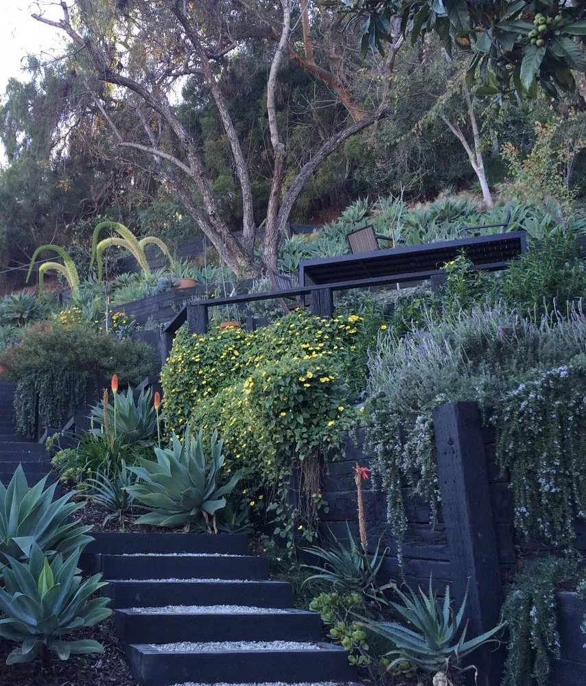 Professional landscaping services for beautiful yards across Los Angeles, CA - Leonardo Chalupowicz Studio