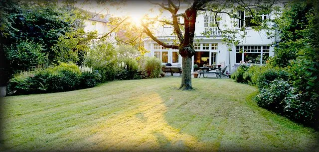 Trusted landscaping services near you in Escondido, CA by Leonardo's Landscaping