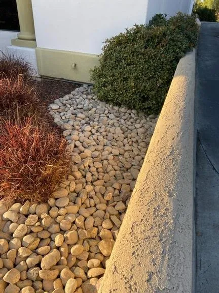 Top-rated landscape design in Escondido, CA by Leonardo's Landscaping