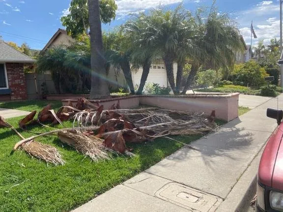 Custom garden landscaping experts serving Escondido, CA - Leonardo's Landscaping