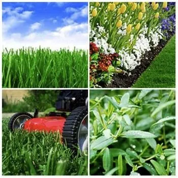 Expert landscape installation with custom design in Escondido, CA by Leonardo's Landscaping