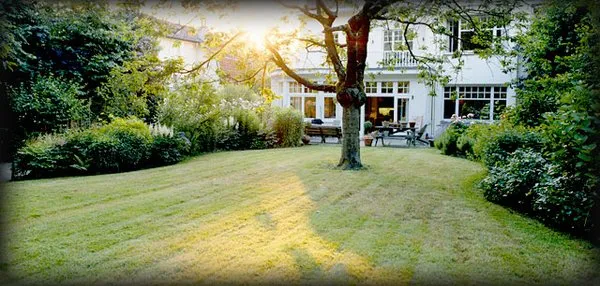 Leonardo's Landscaping Logo