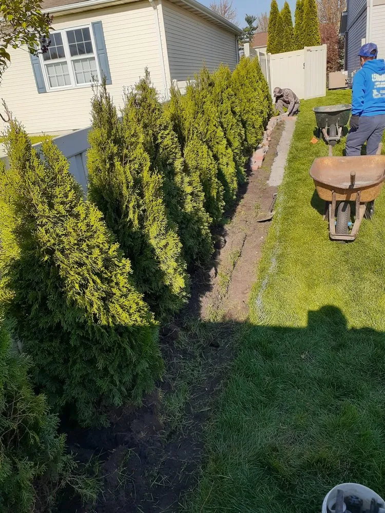 Trusted lawn care service experts serving Griffith, IN - Leonardo's Landscaping Service