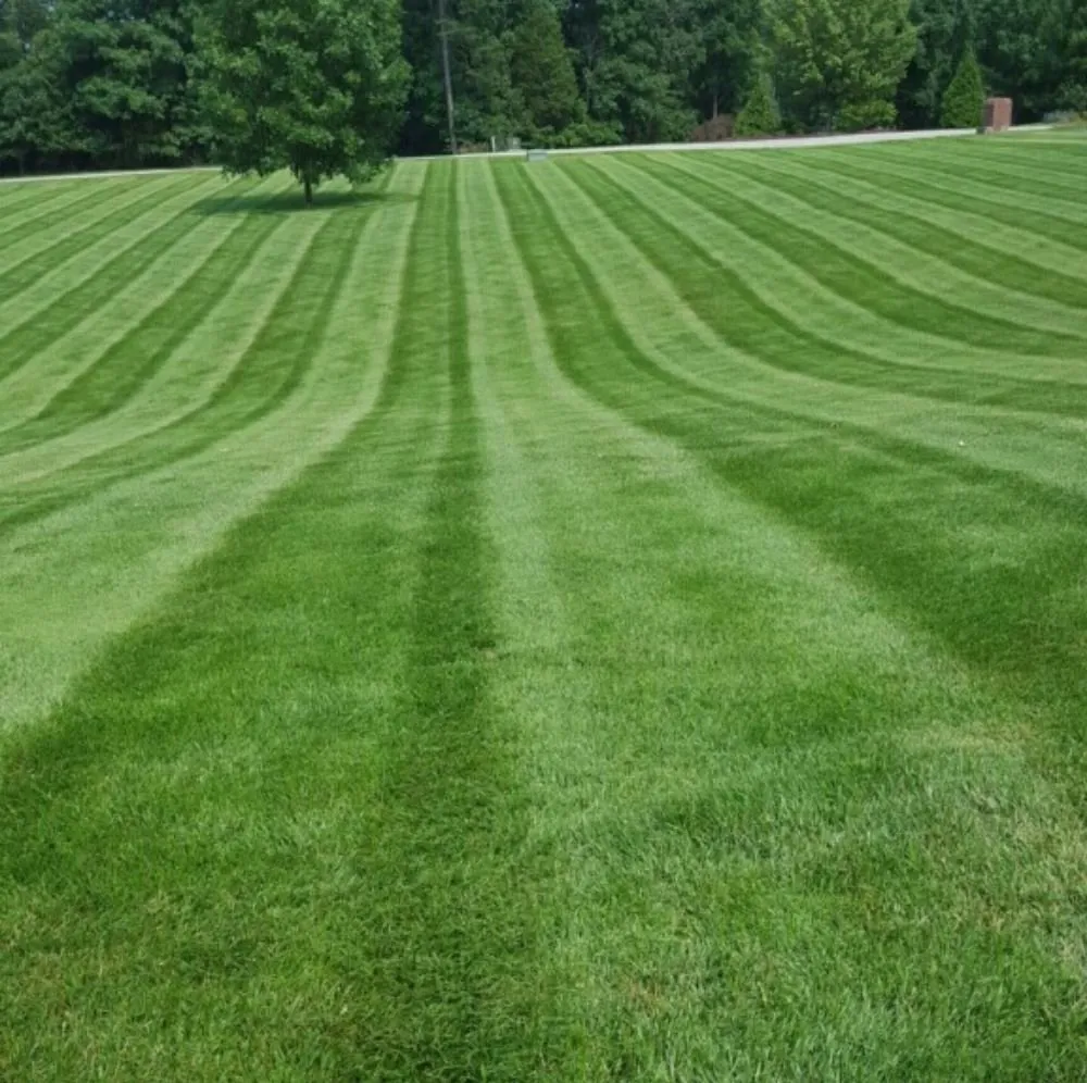 Custom lawn mowing service for homes across Jonesborough, TN - Leonard's Lawn And Landscape