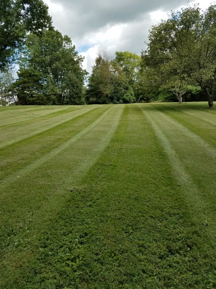 Trusted lawn mowing service with custom design across Jonesborough, TN - Leonard's Lawn And Landscape