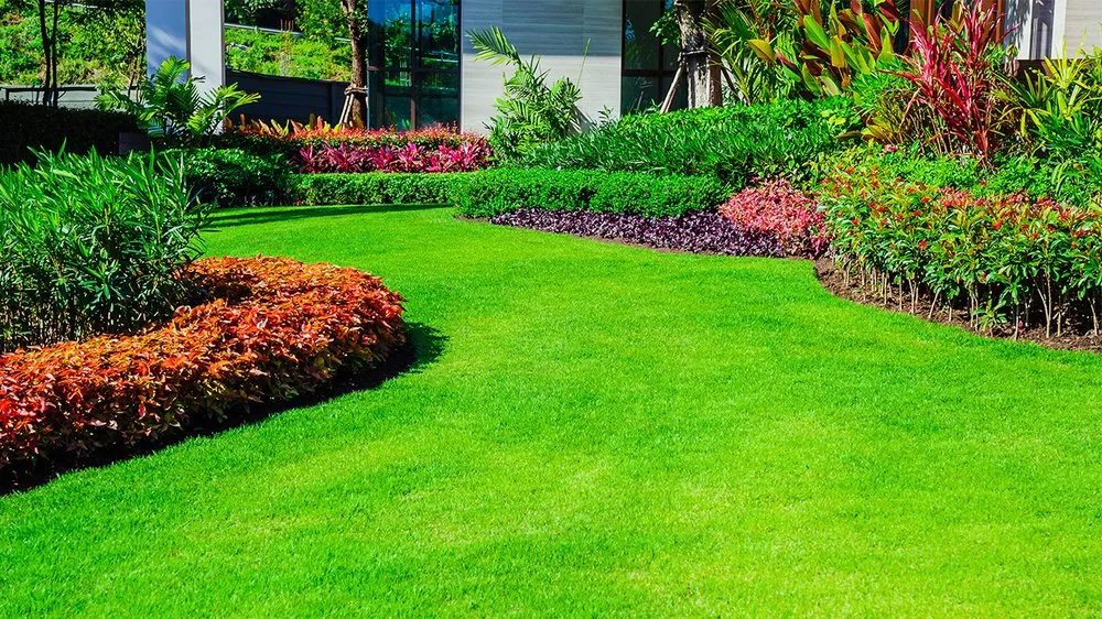 Affordable yard cleanup service for residential properties in Jonesborough, TN by Leonard's Lawn And Landscape