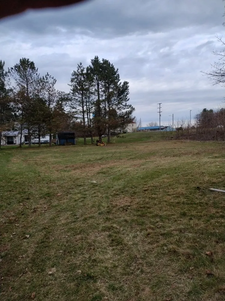 Top-rated yard cleanup service experts serving Edmore, MI - Leonard's Snow Plowing and Lawn Care Service