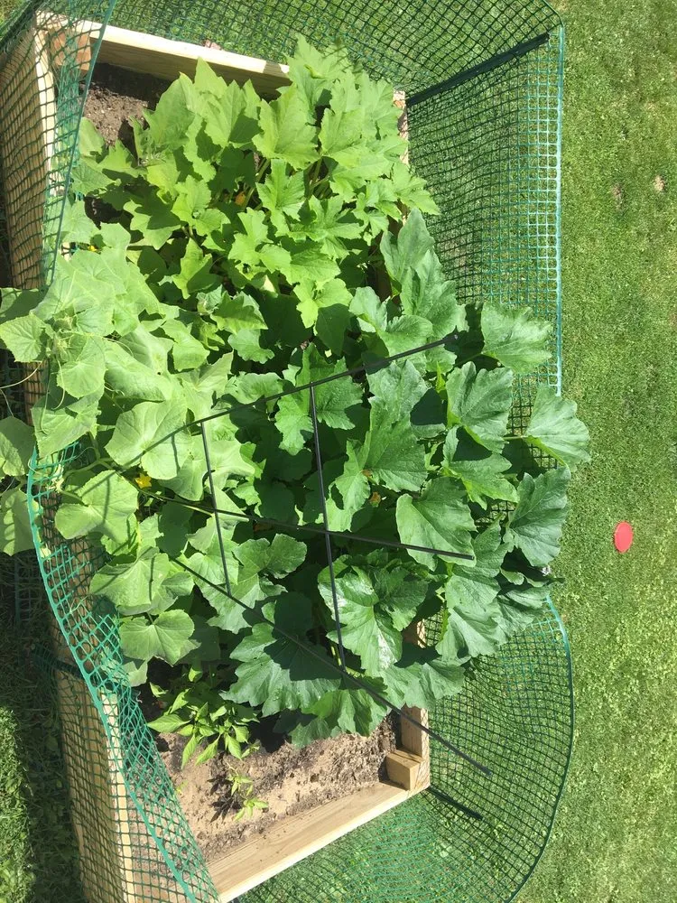 Affordable landscape design experts serving Moorestown, NJ - Leonberg