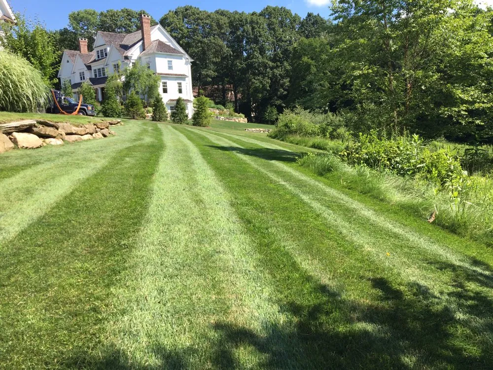 Reliable yard cleanup service experts serving Stamford, CT - Leonel and Sons Landscaping