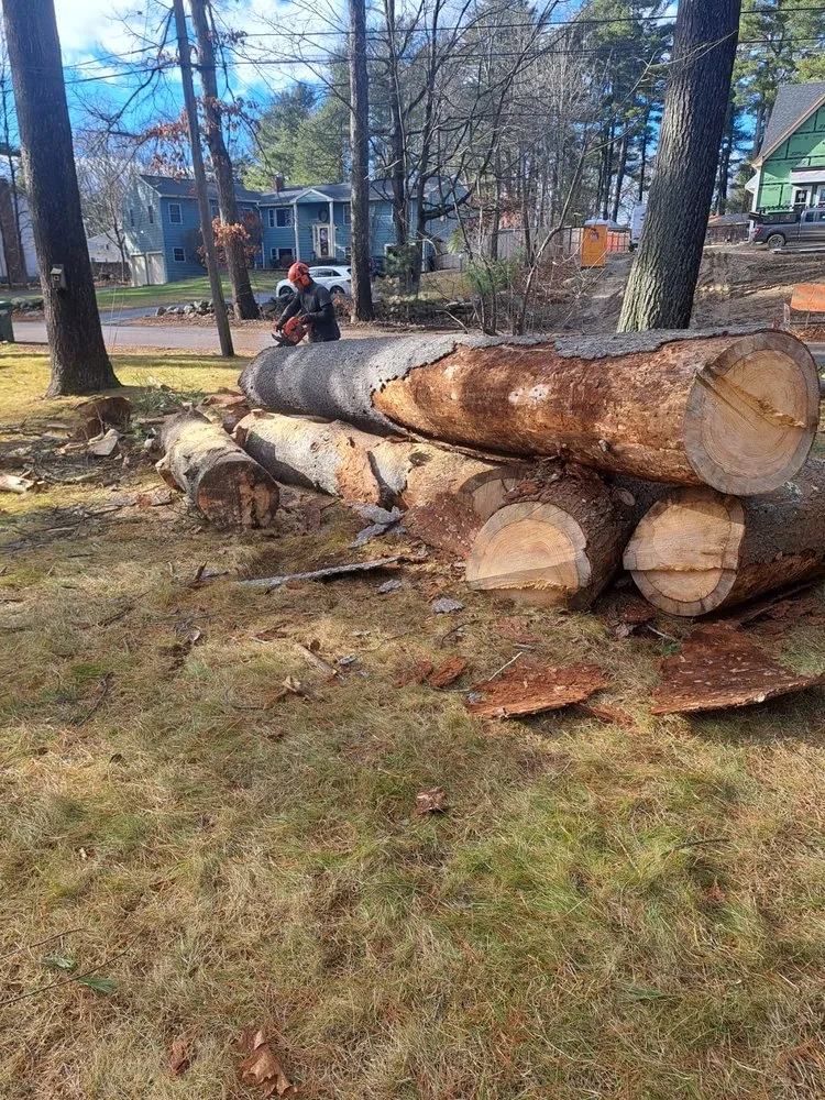 Expert garden landscaping for residential properties across Waltham, MA - Leonel Escobar Landscaping