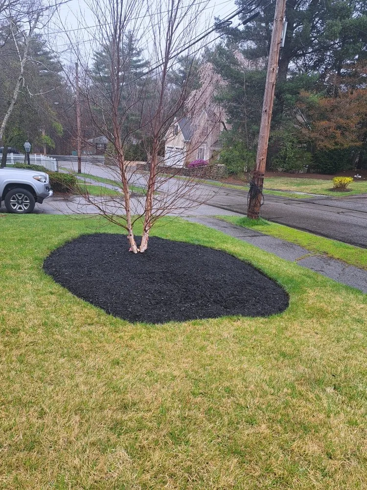 Local residential landscaping for year-round maintenance across Waltham, MA - Leonel Escobar Landscaping