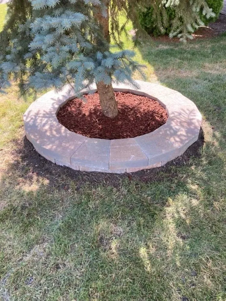 Affordable lawn care service in Chicago, IL - Leonel Landscaping