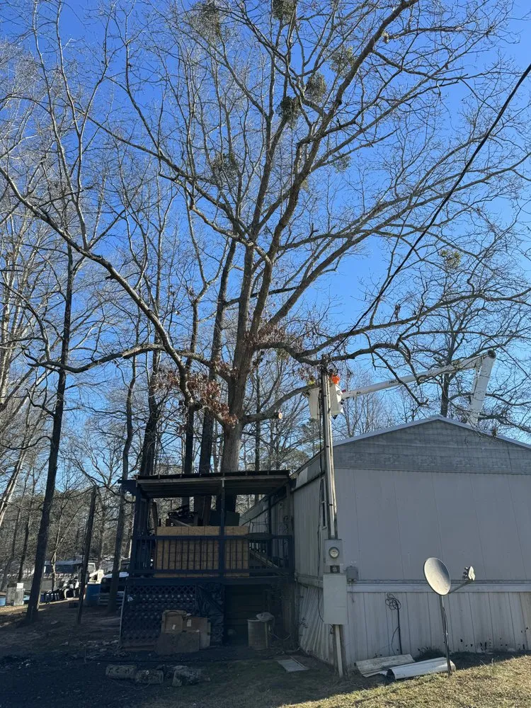 Professional yard maintenance experts serving Athens, GA - Leonel Tree Service & Landscaping