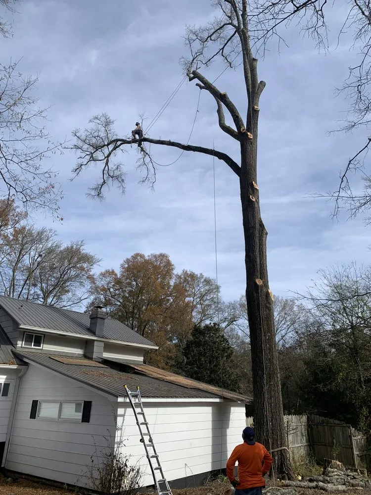 Top-rated landscape design in Athens, GA - Leonel Tree Service & Landscaping