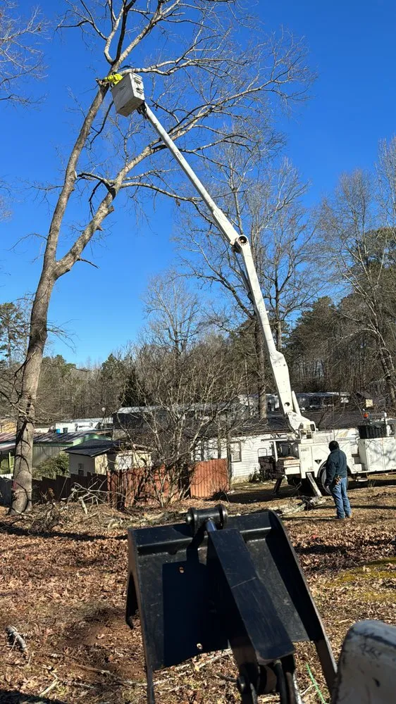 Expert landscaping services for beautiful yards in Athens, GA by Leonel Tree Service & Landscaping