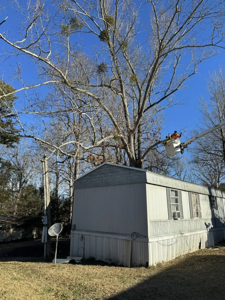 Affordable landscape installation experts serving Athens, GA - Leonel Tree Service & Landscaping