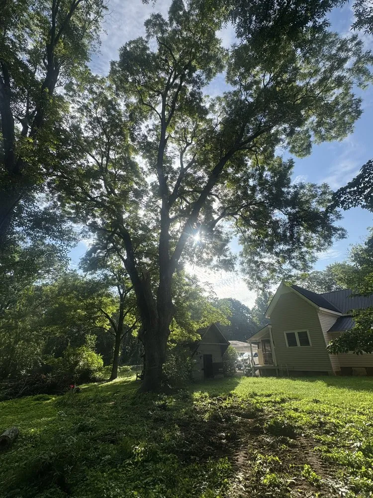 Affordable yard maintenance with custom design across Athens, GA - Leonel Tree Service & Landscaping