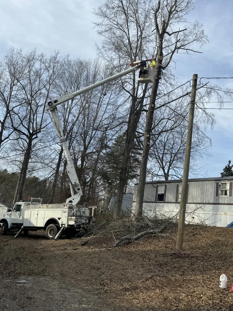 Trusted yard cleanup service with custom design across Athens, GA - Leonel Tree Service & Landscaping