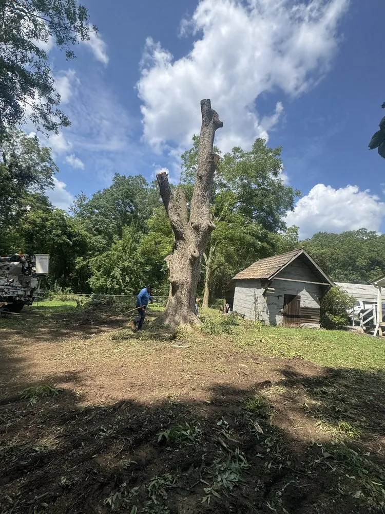 Professional residential landscaping for beautiful yards across Athens, GA - Leonel Tree Service & Landscaping