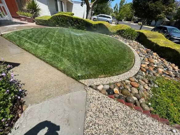 Affordable garden landscaping for outdoor upgrades across San Jose, CA - Leonel’s Garden Services