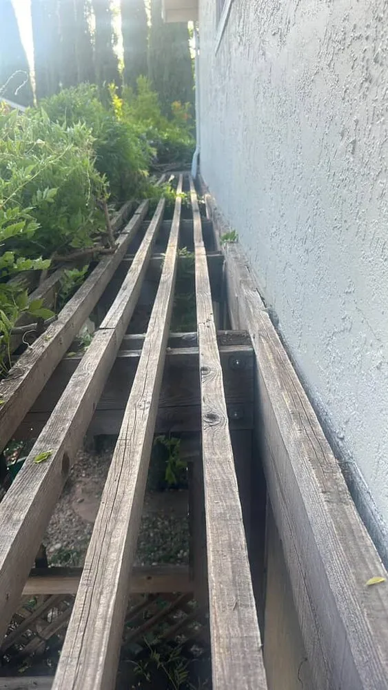 Expert yard cleanup service experts serving San Jose, CA - Leonel’s Garden Services