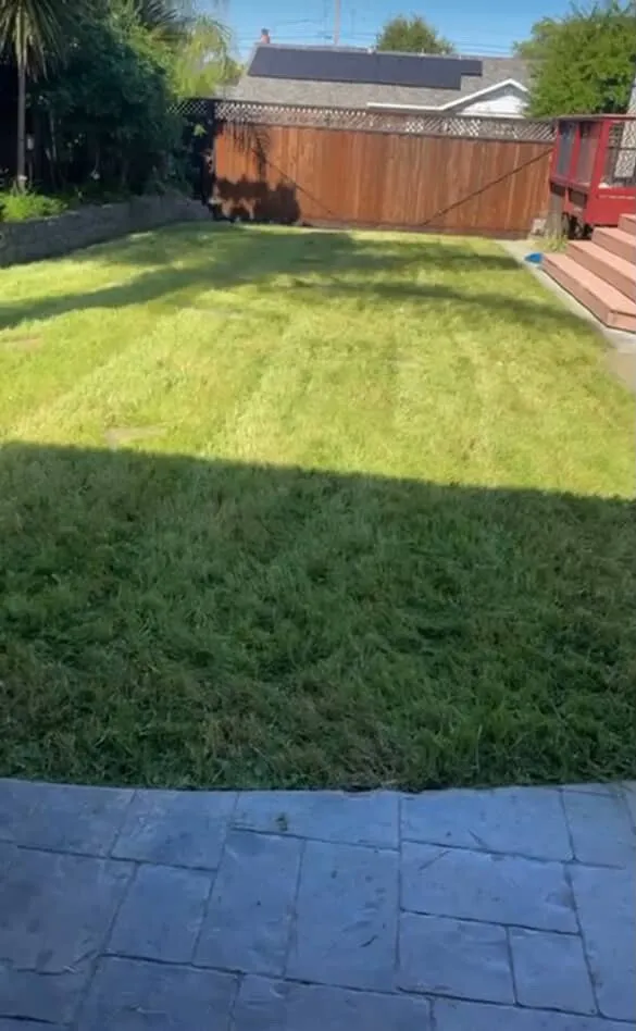 Reliable landscape design near you in San Jose, CA by Leonel’s Garden Services