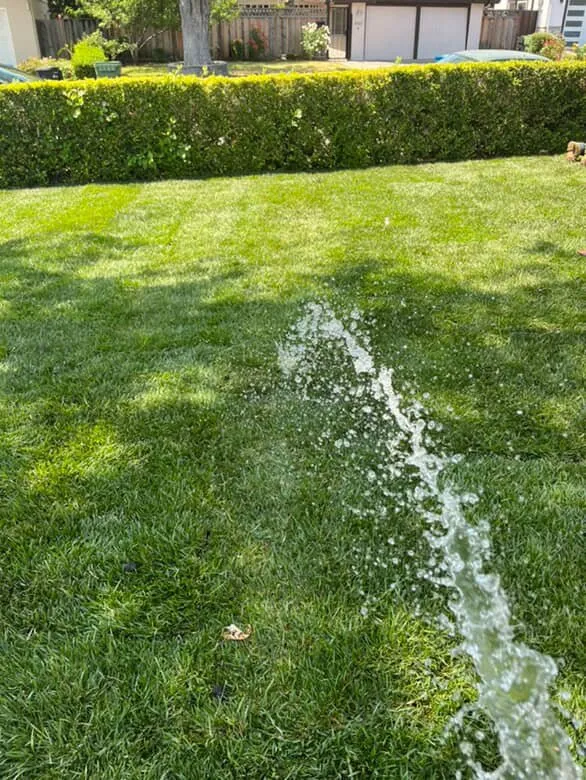 Expert lawn care service experts serving San Jose, CA - Leonel’s Garden Services