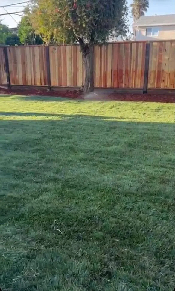 Expert outdoor landscaping near you across San Jose, CA - Leonel’s Garden Services