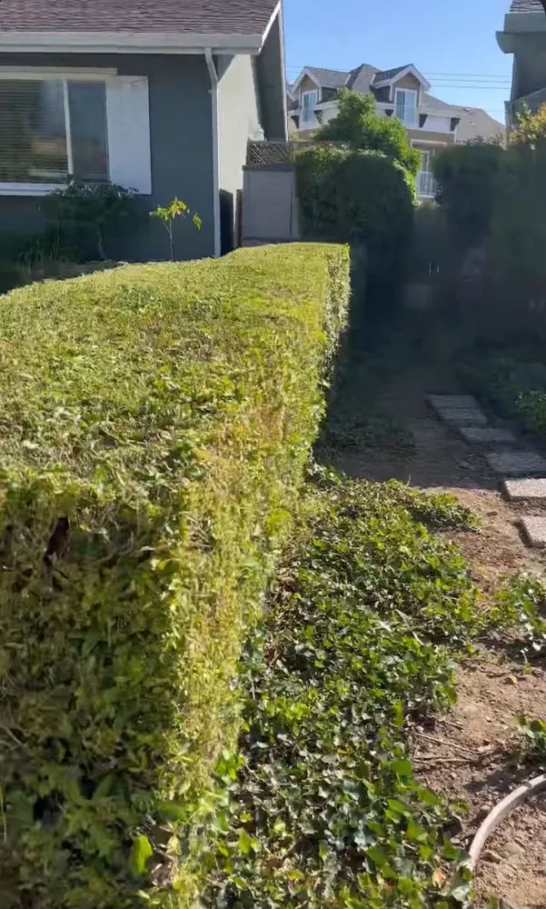 Reliable outdoor landscaping for outdoor upgrades across San Jose, CA - Leonel’s Garden Services