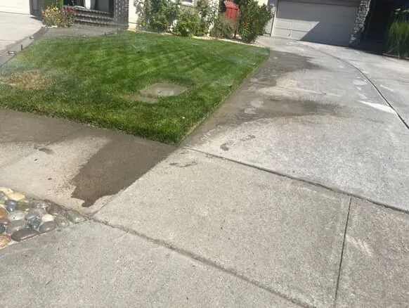 Top-rated yard cleanup service for homes in San Jose, CA by Leonel’s Garden Services