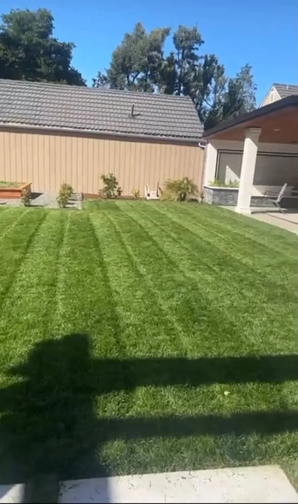 Trusted outdoor landscaping in San Jose, CA by Leonel’s Garden Services