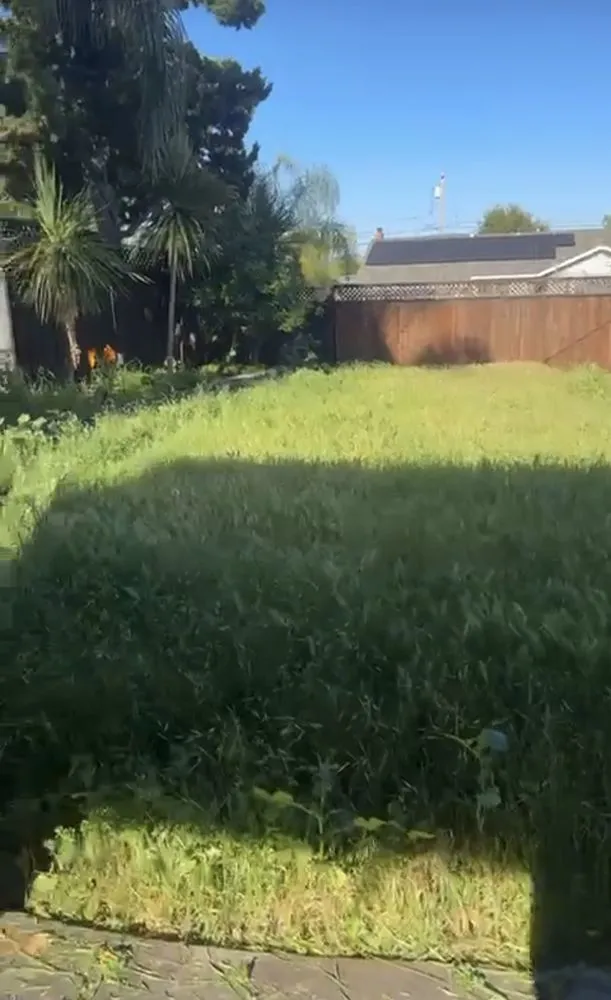 Reliable residential landscaping in San Jose, CA - Leonel’s Garden Services