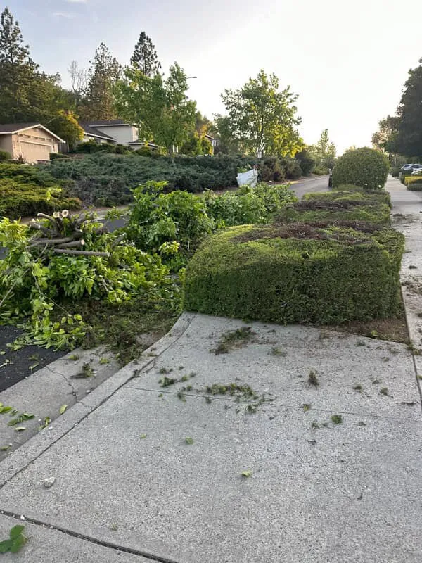 Top-rated outdoor landscaping near you in San Jose, CA by Leonel’s Garden Services