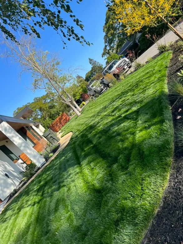 Top-rated lawn care service in San Jose, CA by Leonel’s Garden Services
