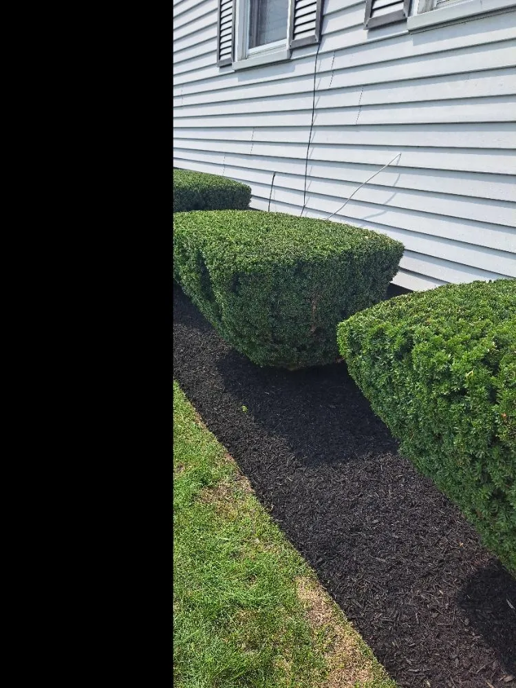 Reliable lawn mowing service for beautiful yards across Lynn, MA - Leonels Landscaping