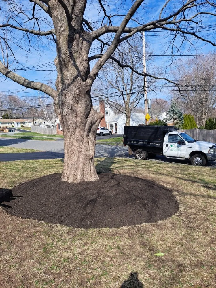 Top-rated outdoor landscaping in Lynn, MA - Leonels Landscaping