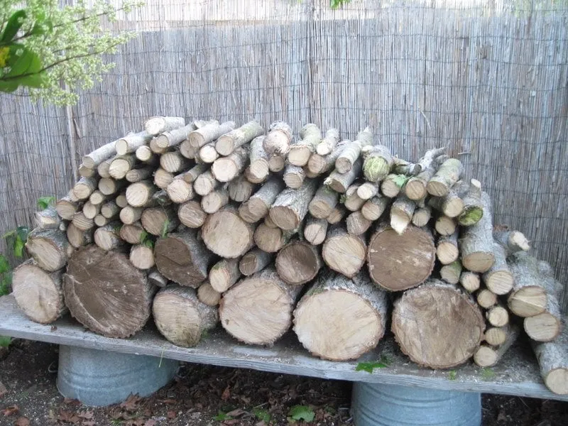 Trusted outdoor landscaping for residential properties in Rancho santa Fe, CA by Leonel's Tree Service And Landscaping