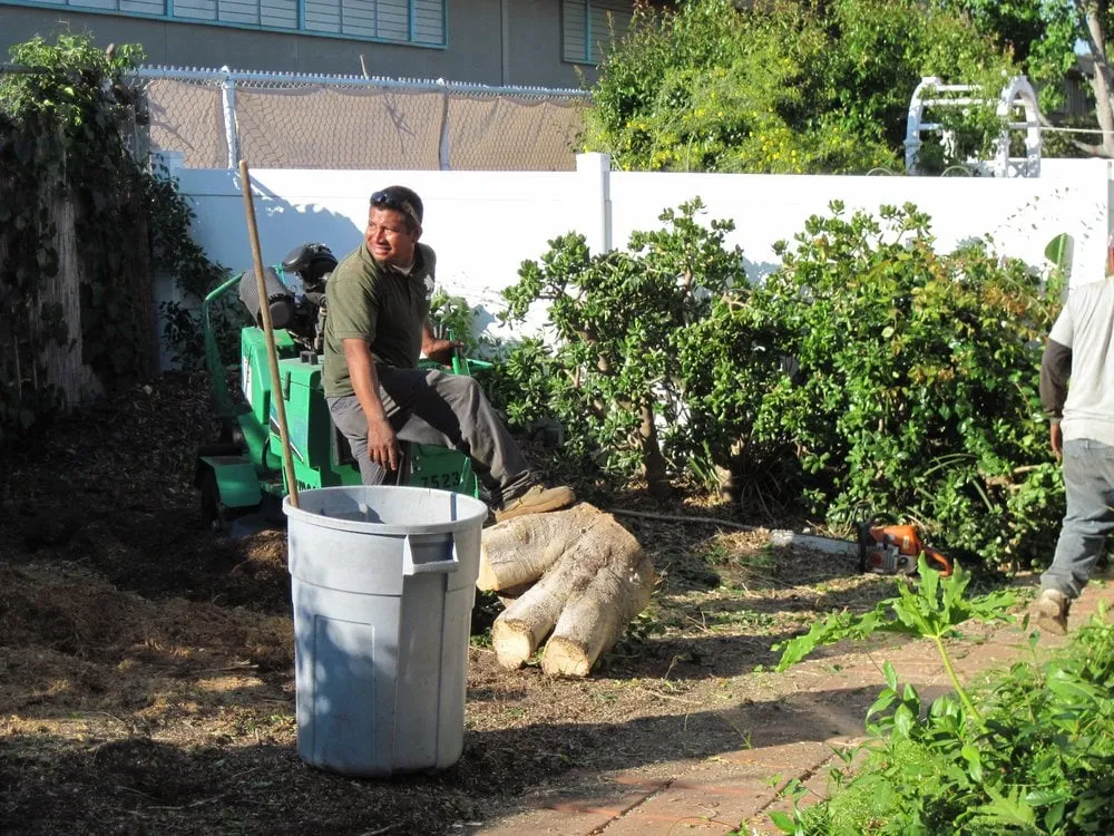 Professional landscape installation near you across Rancho santa Fe, CA - Leonel's Tree Service And Landscaping