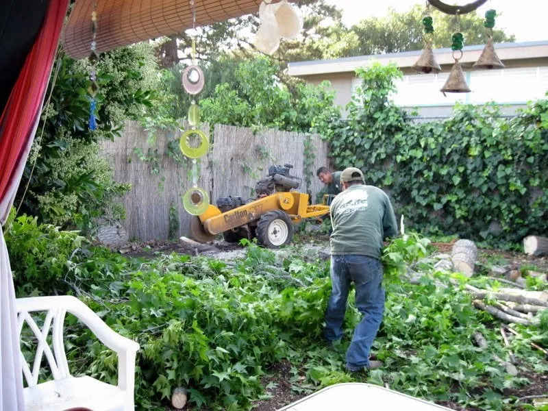 Expert landscape installation near you across Rancho santa Fe, CA - Leonel's Tree Service And Landscaping
