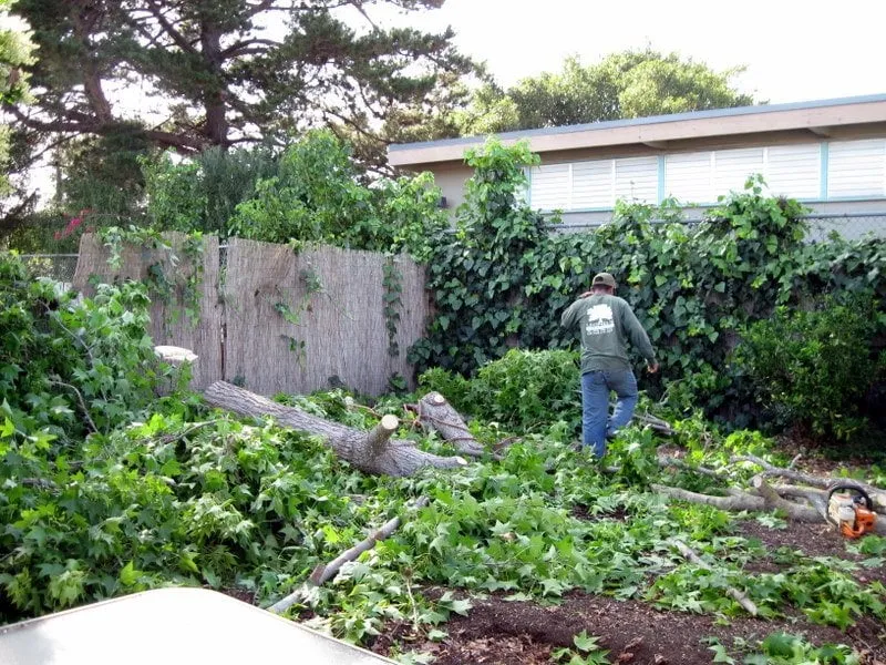 Top-rated outdoor landscaping in Rancho santa Fe, CA - Leonel's Tree Service And Landscaping
