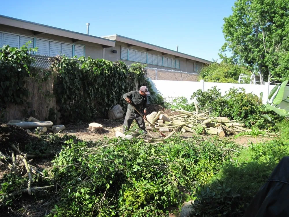 Expert yard maintenance for year-round maintenance across Rancho santa Fe, CA - Leonel's Tree Service And Landscaping