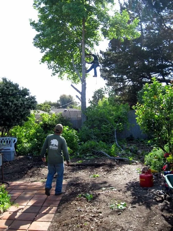 Expert lawn mowing service with custom design across Rancho santa Fe, CA - Leonel's Tree Service And Landscaping