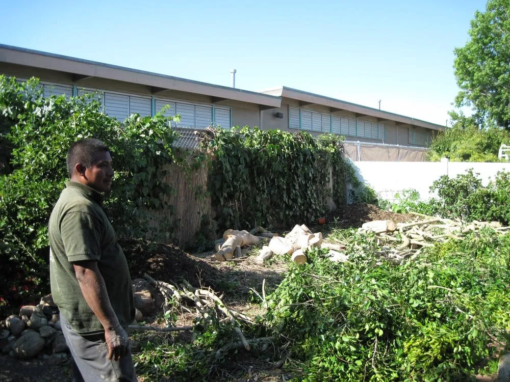 Top-rated residential landscaping for beautiful yards across Rancho santa Fe, CA - Leonel's Tree Service And Landscaping