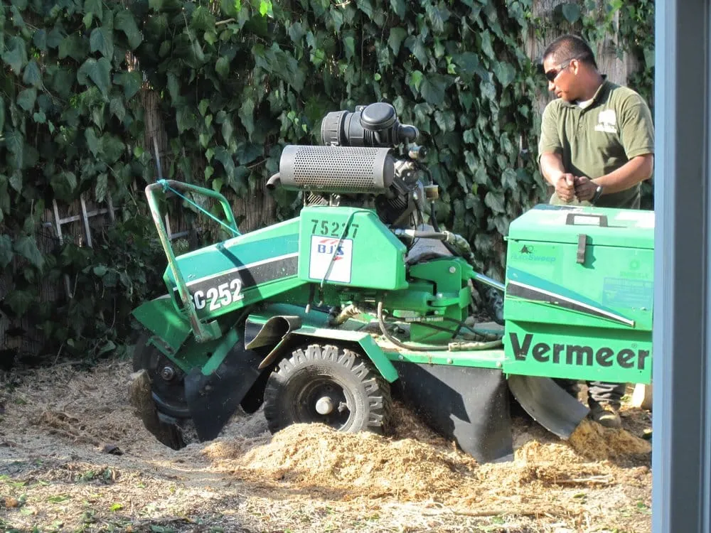 Custom yard maintenance experts serving Rancho santa Fe, CA - Leonel's Tree Service And Landscaping