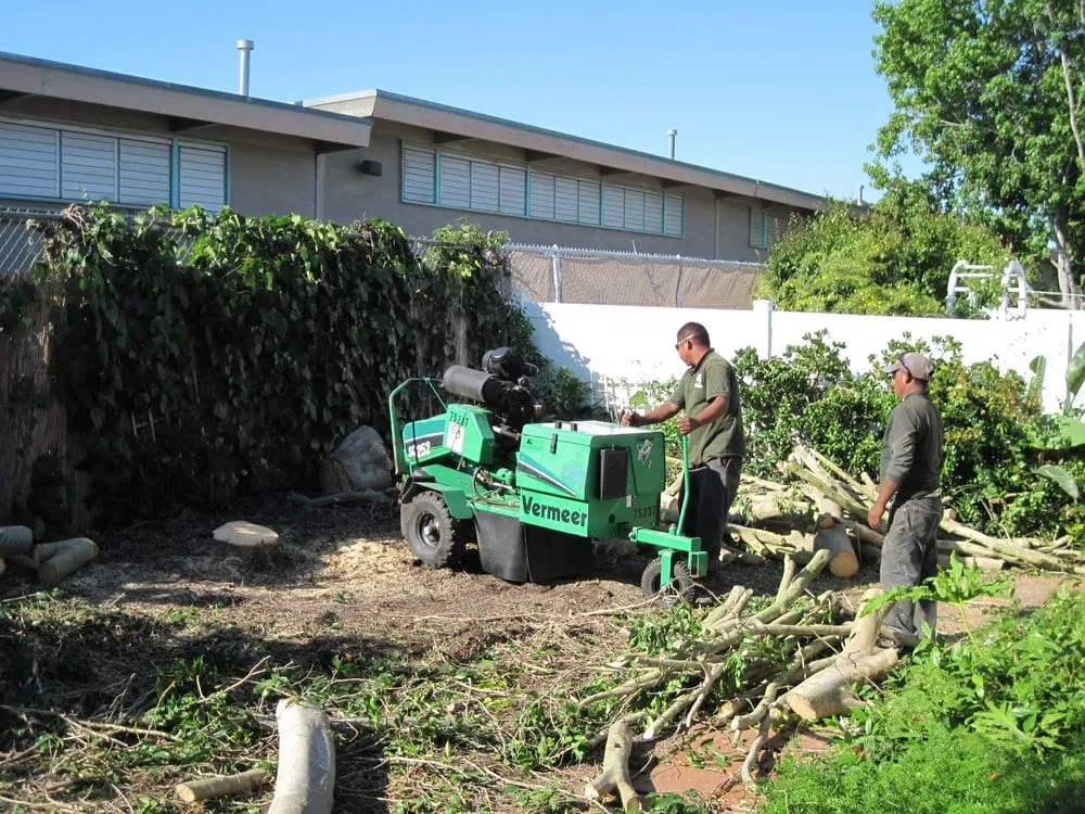 Trusted landscape installation for homes in Rancho santa Fe, CA by Leonel's Tree Service And Landscaping
