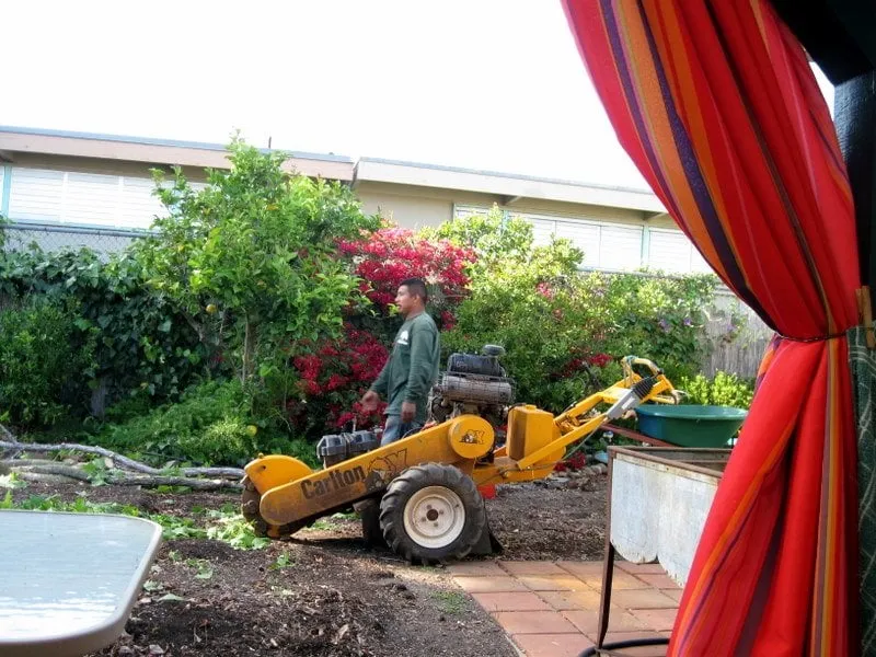 Professional outdoor landscaping for residential properties in Rancho santa Fe, CA by Leonel's Tree Service And Landscaping