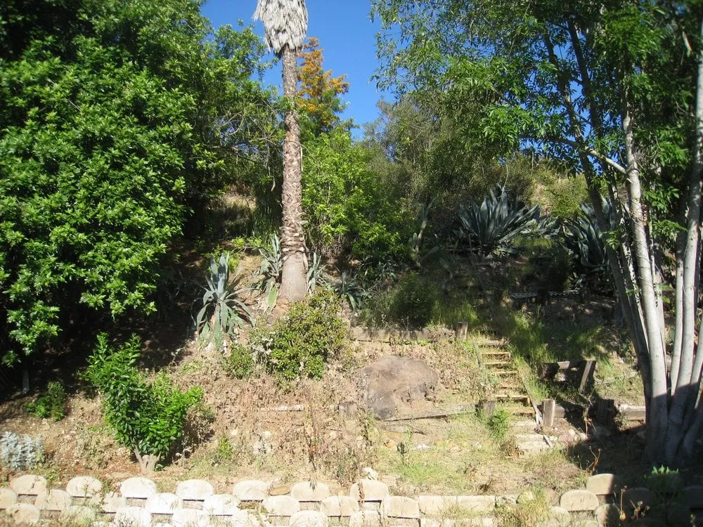 Affordable lawn care service with custom design in Rancho santa Fe, CA by Leonel's Tree Service And Landscaping