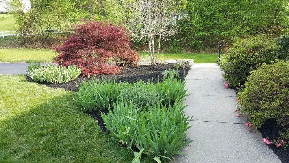 Professional landscape installation for outdoor upgrades in Shrewsbury, MA by Leone's Landscaping & Construction