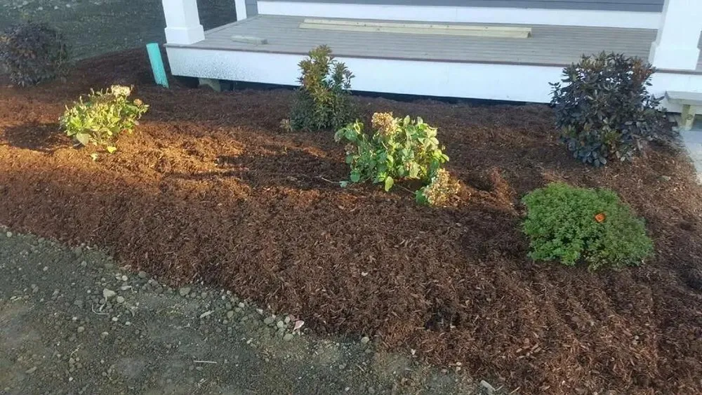 Top-rated landscaping services in Shrewsbury, MA - Leone's Landscaping & Construction